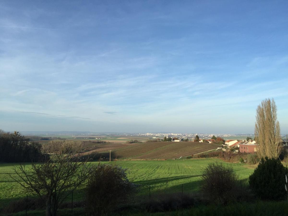 Villa Reims Epernay Champagne Vineyard Villers-Allerand Екстер'єр фото