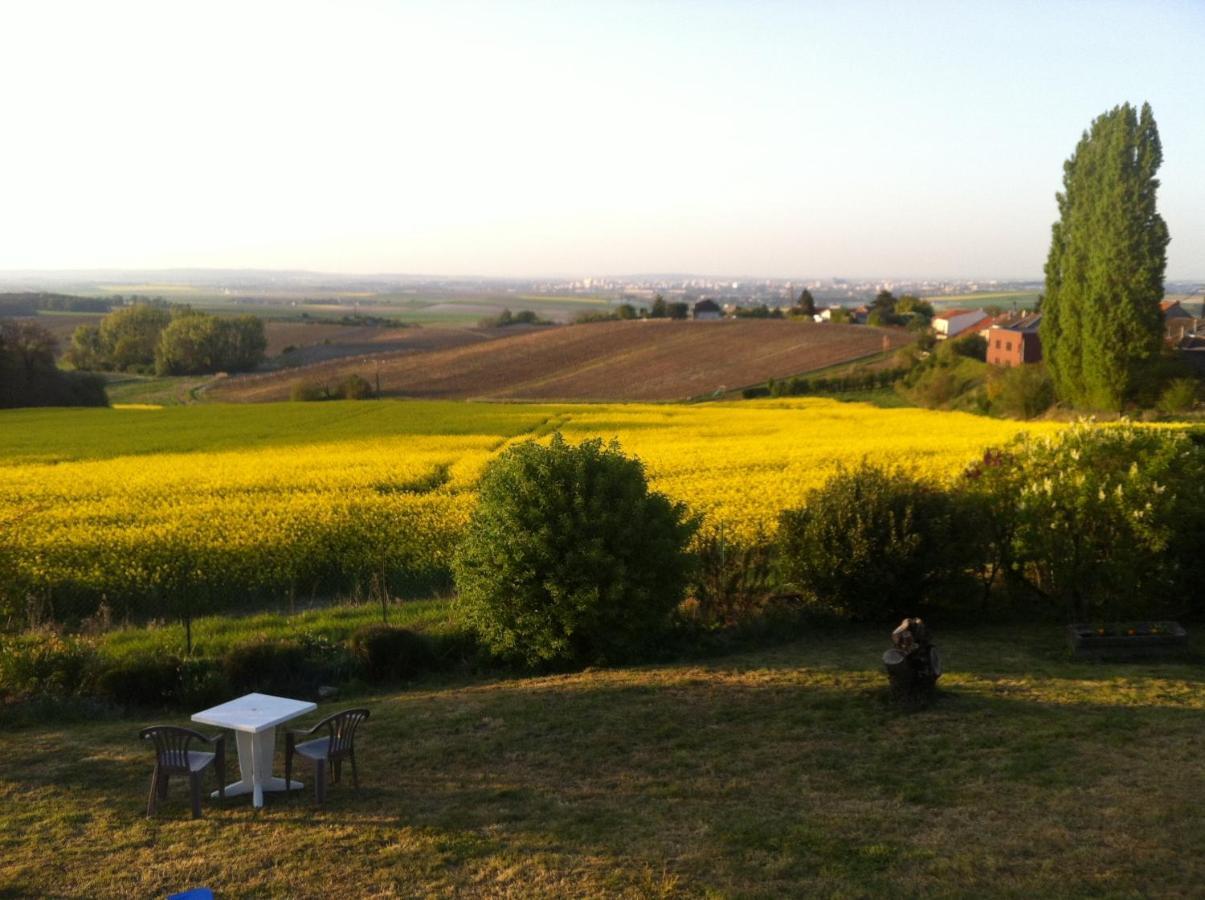 Villa Reims Epernay Champagne Vineyard Villers-Allerand Екстер'єр фото