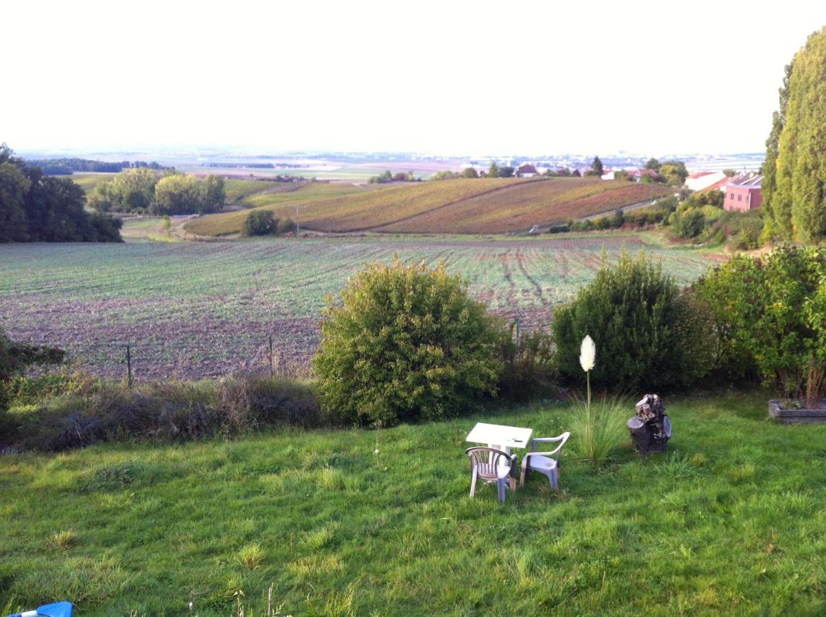 Villa Reims Epernay Champagne Vineyard Villers-Allerand Екстер'єр фото